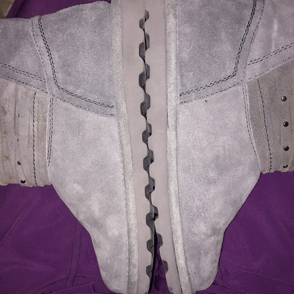 Beautiful grey Bearpaws - Picture 6 of 8